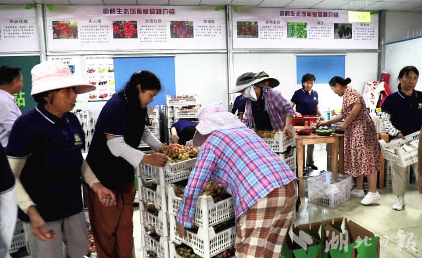 大奖官方网页登陆